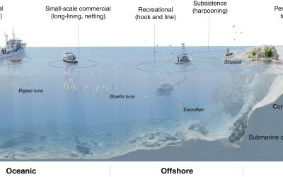 Global origins of tuna and billfish fisheries reveal the transition from coastal access to oceanic exploitation